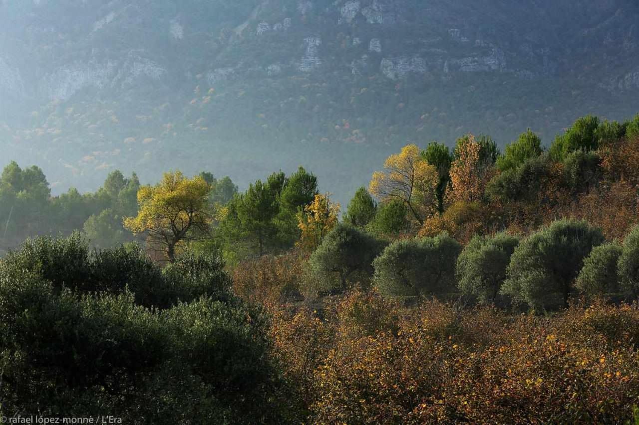 Casa Rural Lera La La Torre de Fontaubella Kültér fotó
